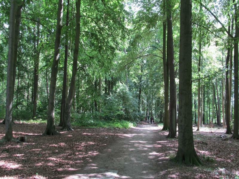 “Haus Am Kuestenwald” Ferienwohnungen Graal-Mueritz Kültér fotó